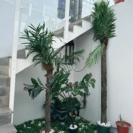 Johnny Apartamento Playa Blanca (Lanzarote)