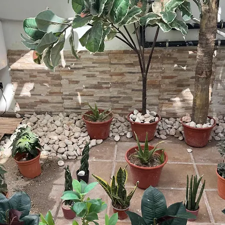 Johnny Apartment Playa Blanca (Lanzarote)