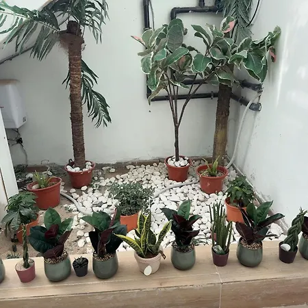 Johnny アパート *