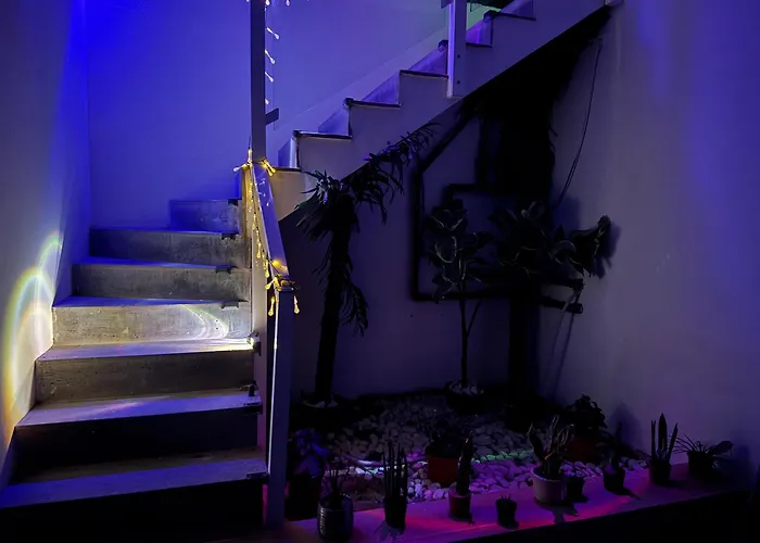 Johnny بلايا بلانكا