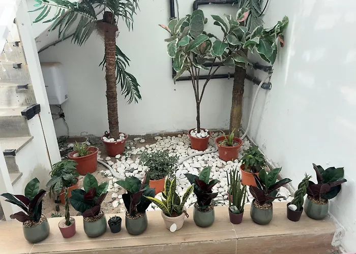 Johnny Appartement *